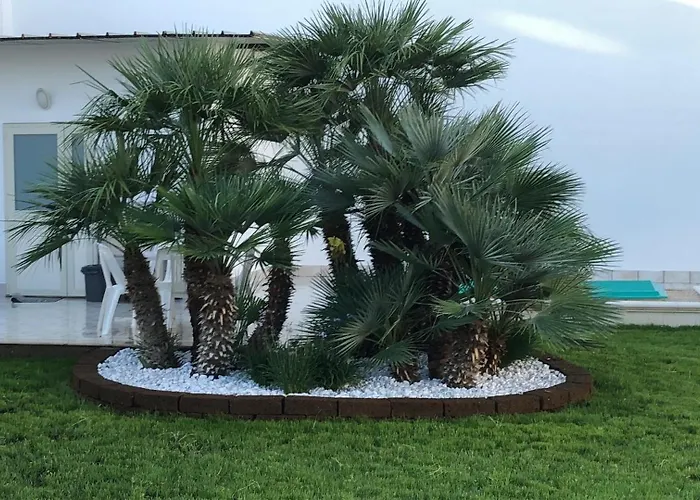 Signorile Bed & Breakfast 3*